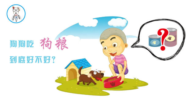 狗狗只吃人的食物不吃狗粮好吗,经常吃家里饭菜的狗狗还吃狗粮吗