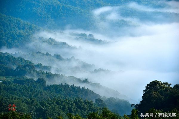 云南省最大涉黑案团伙,云南人口不足十万人的县