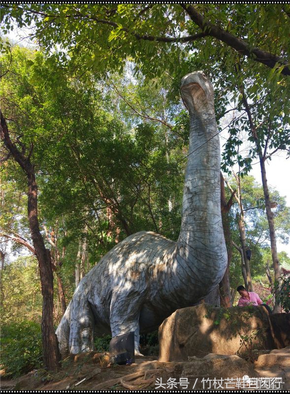 东莞隐贤山庄避坑,现在的东莞隐贤山庄是什么样的