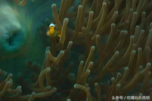 3000玩转泰国2天4夜攻略 (泰国小马尔代夫海岛)