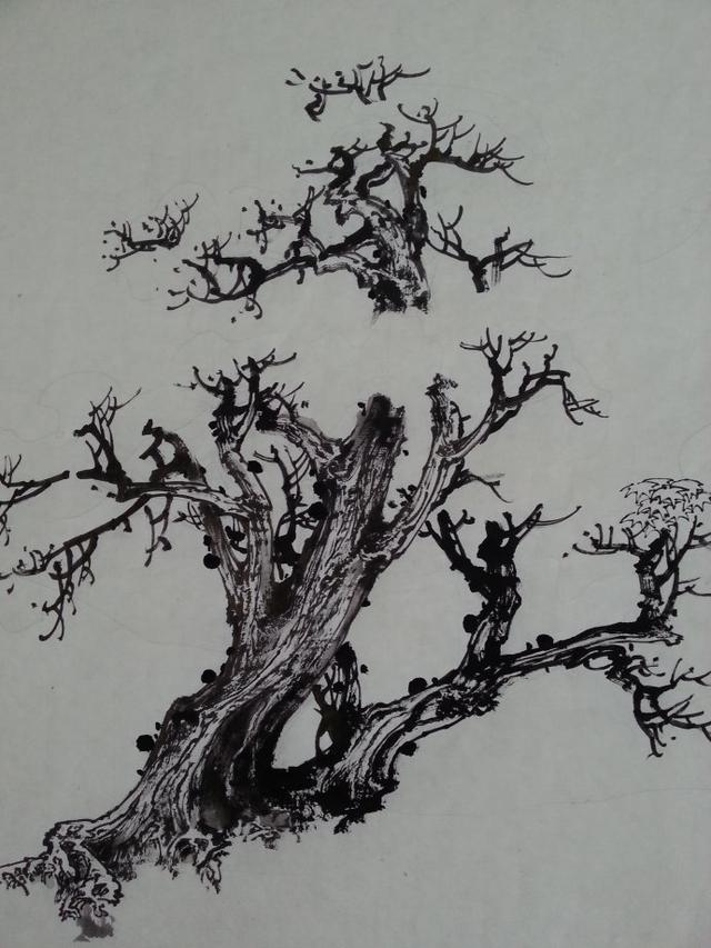 曾刚彩墨山水画丛树的画法教程,曾刚彩墨山水画房子的画法视频