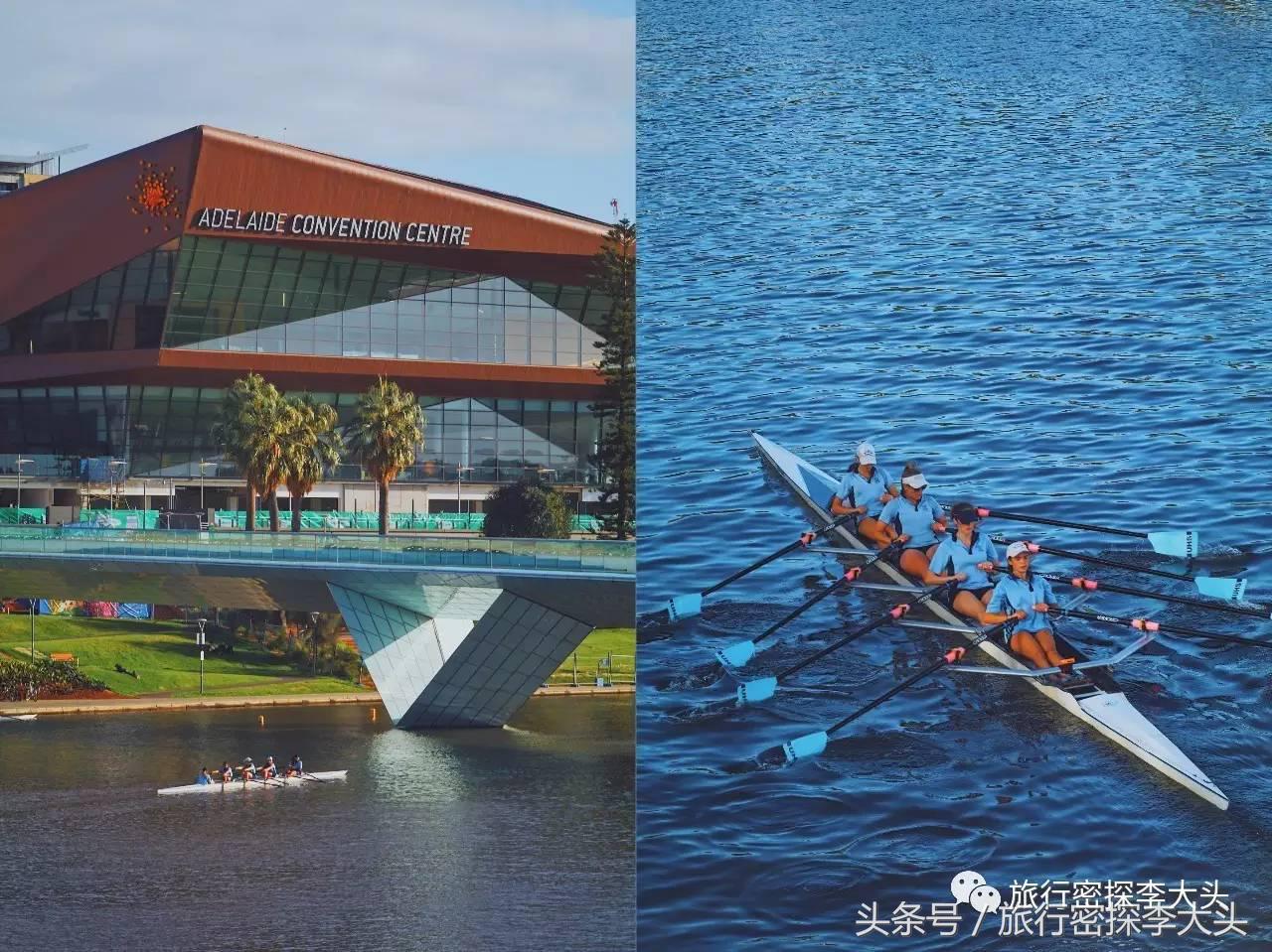 中国哪里可以抱考拉,全球哪里可以抱考拉