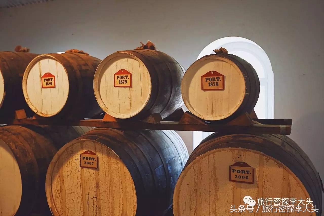 中国哪里可以抱考拉,全球哪里可以抱考拉