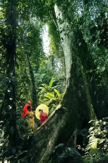 泼水节后，西双版纳该怎么玩，附防高温注意事项