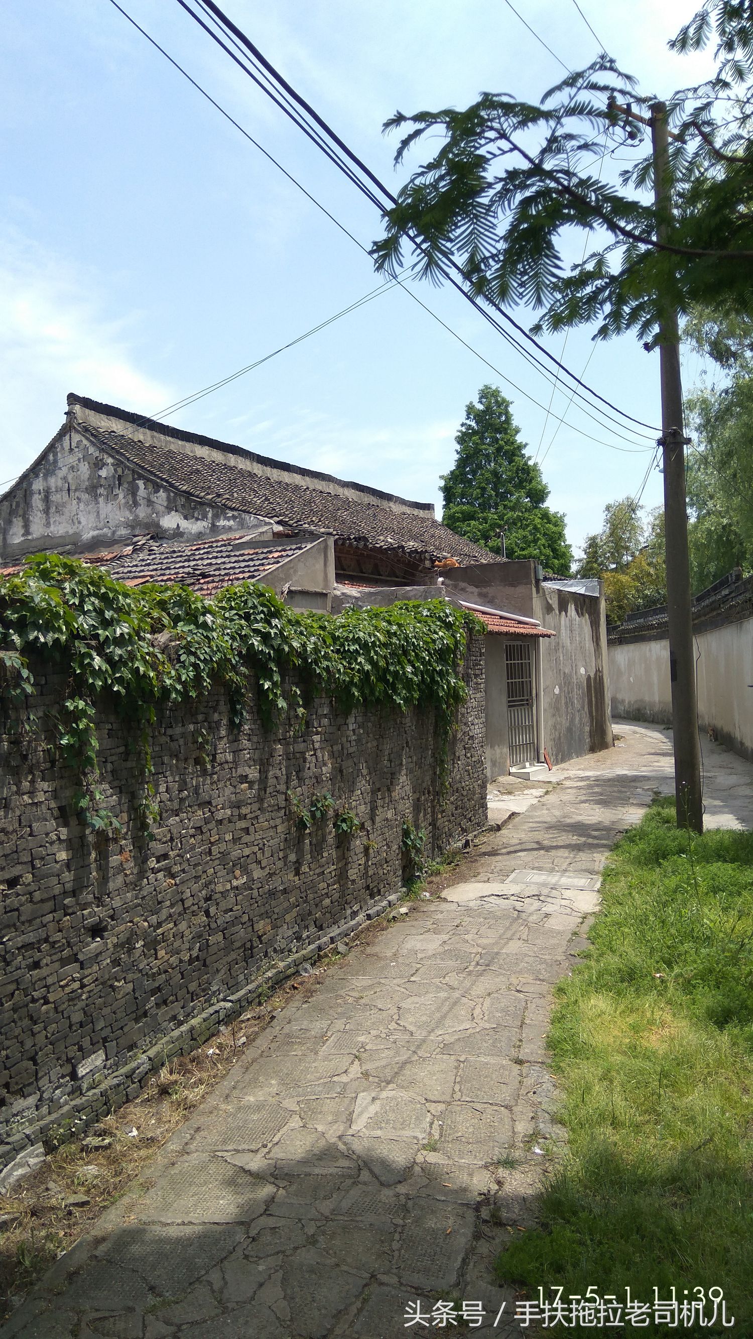 金山枫泾古镇地图,金山枫泾古镇好玩吗值得去吗