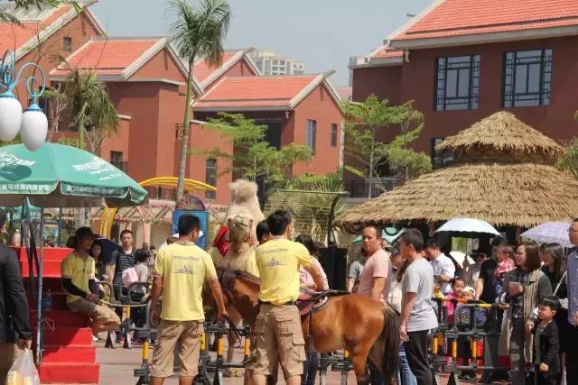 厦门灵玲国际马戏城大不大,五一厦门灵玲国际马戏