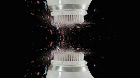 绉戝绉嶈崏,绉戝鎶よ偆鐩茬洰绉嶈崏