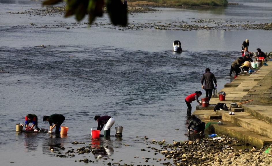 奉化水蜜桃蒋氏故里包装盒,奉化水蜜桃和无锡水蜜桃哪个最早