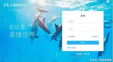 新媒体平台怎么注册,新媒体小白入行必备术语