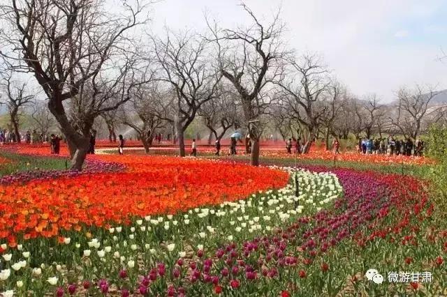 黄河三峡旅游攻略跟团,黄河三峡的攻略