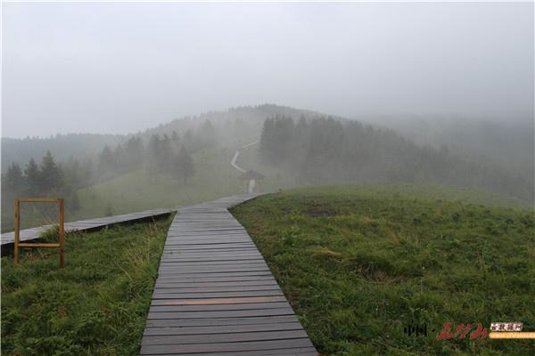 五台山驼梁风景图,山西五台山十大最美景点