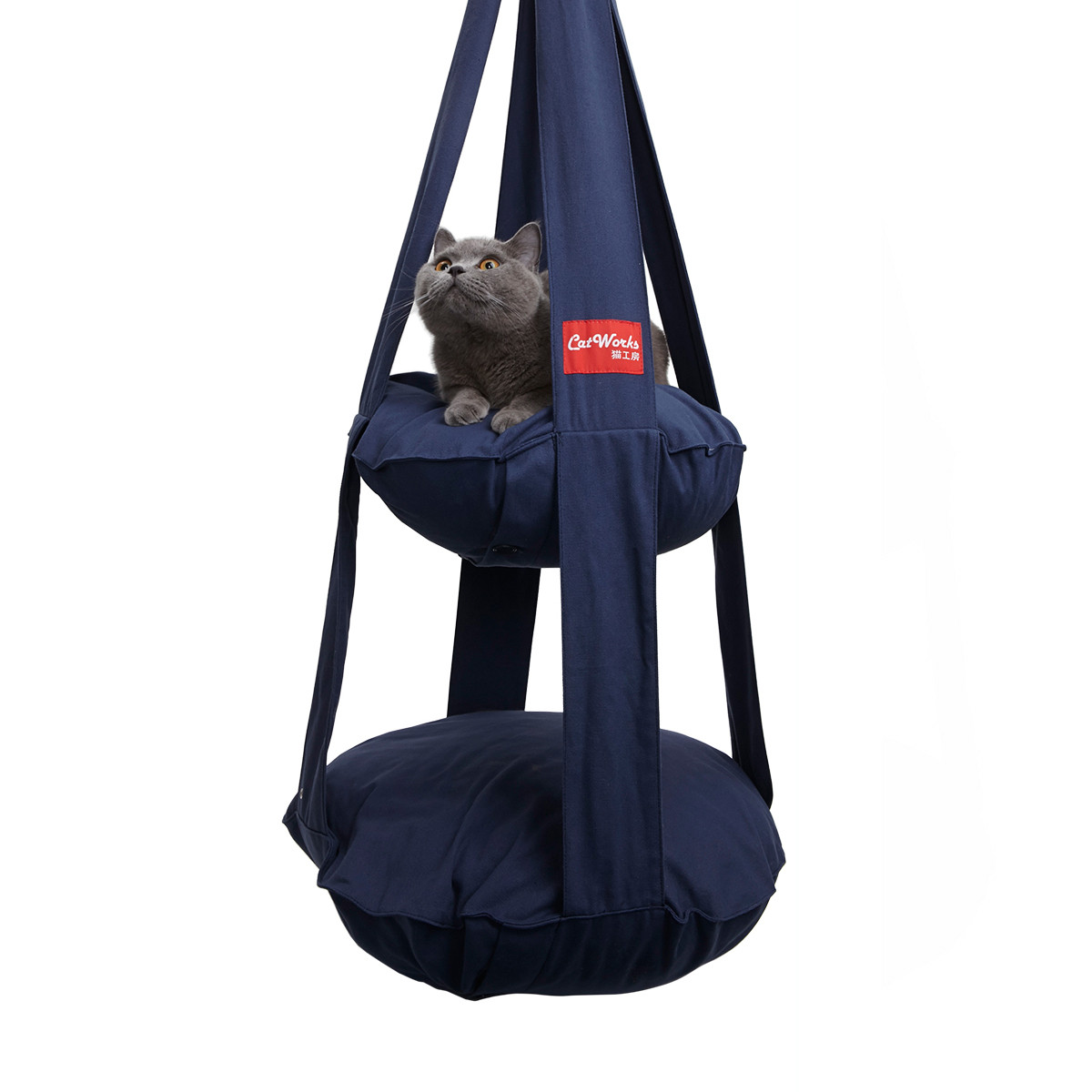 家有喵哥汪弟，体验好物帮你挑