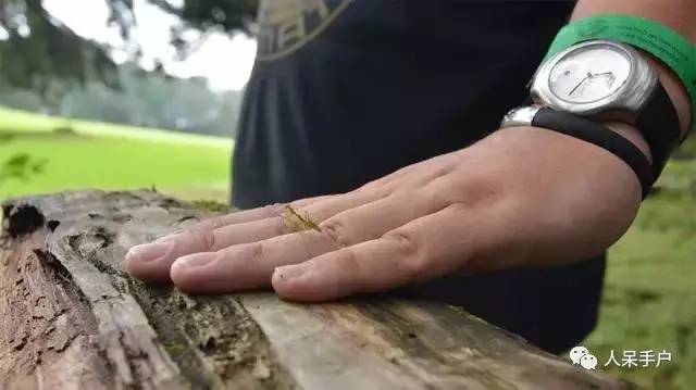 集结拍案称奇的拟态大师