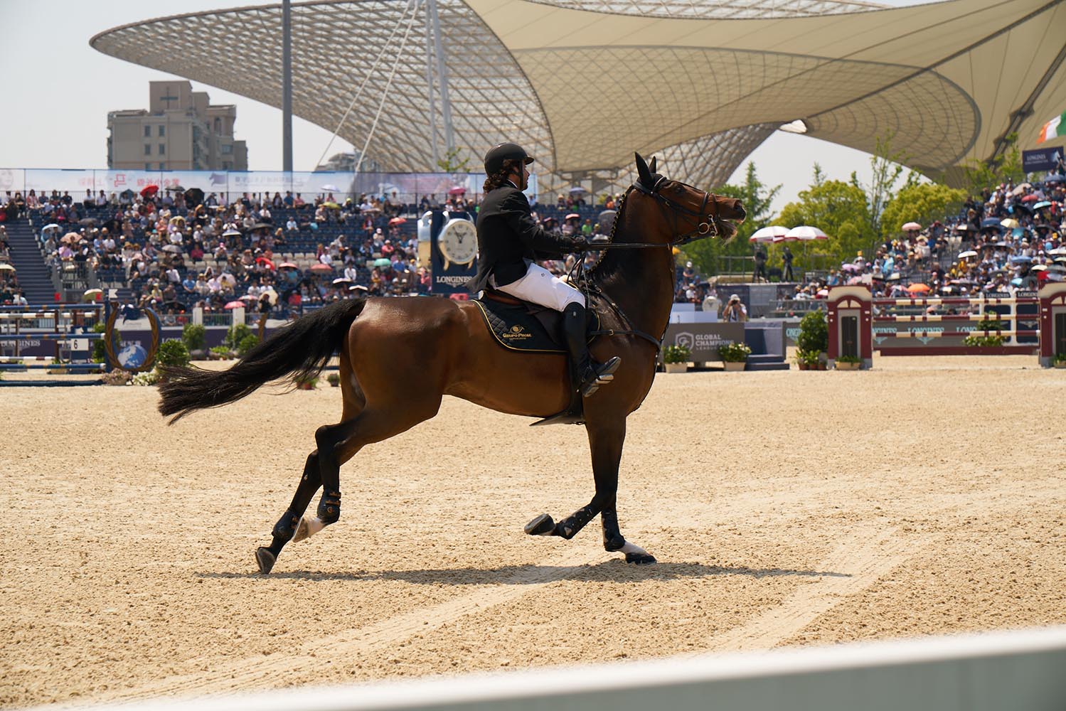 Phosion带你邂逅你的男神女神上海浪琴环球马术冠军赛