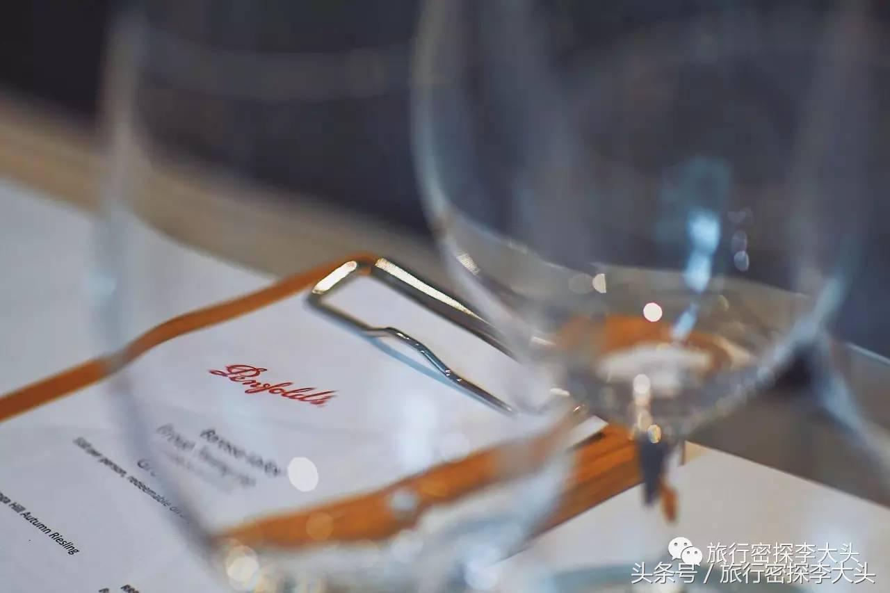 中国哪里可以抱考拉,全球哪里可以抱考拉