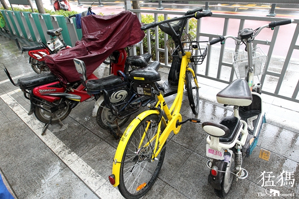 共享单车成为街头一景,共享单车成为一种时尚