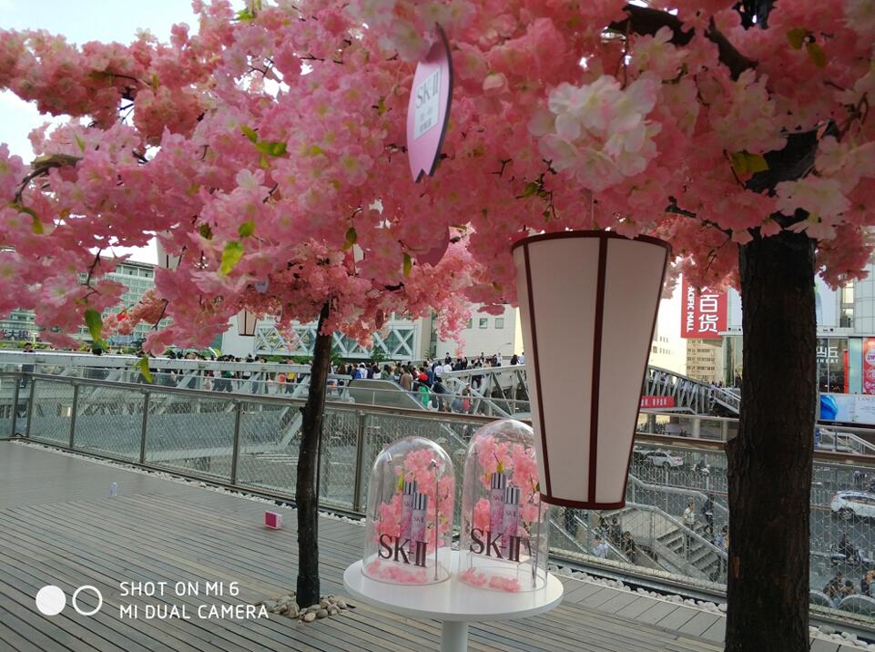 小米6拍照对比,小米6拍照水平