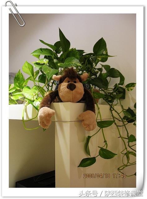 100平小户型房屋装修,10平家用单间装修设计小窝