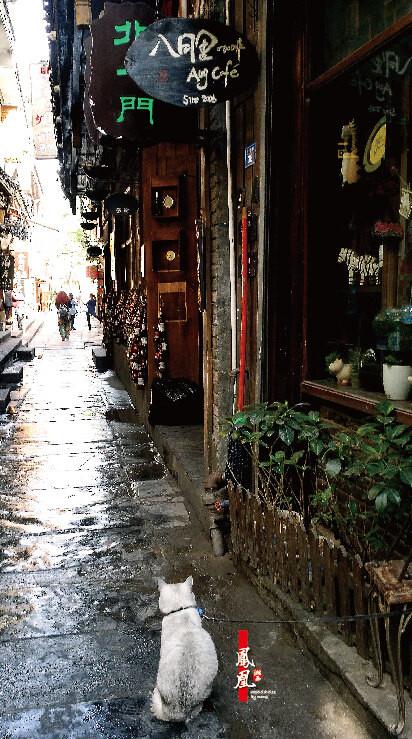 初夏最美,初夏的凤凰古城