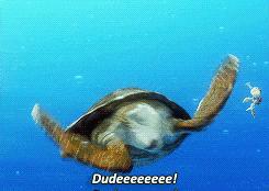 “马子”原意竟是马桶，“凯子”的意思是傻子？