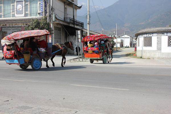 穷游云南1000元以内,穷游云南10天花费多少钱