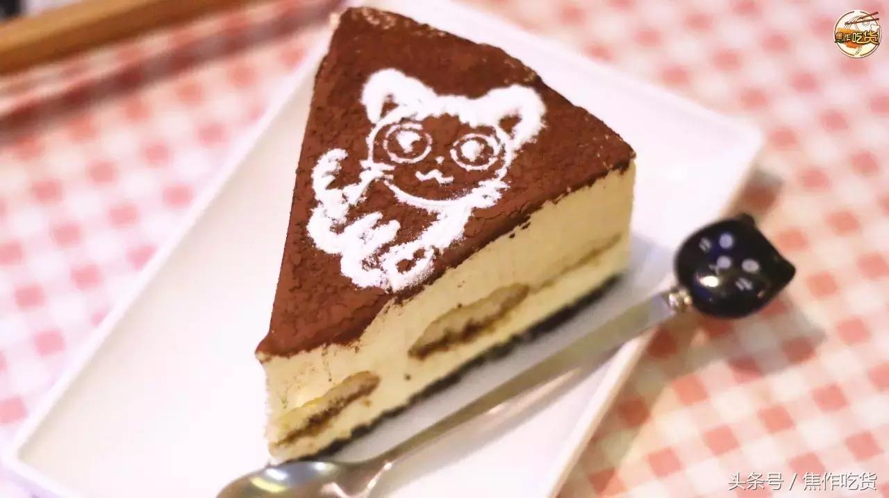 焦作推荐猫咖,焦作新区猫咖