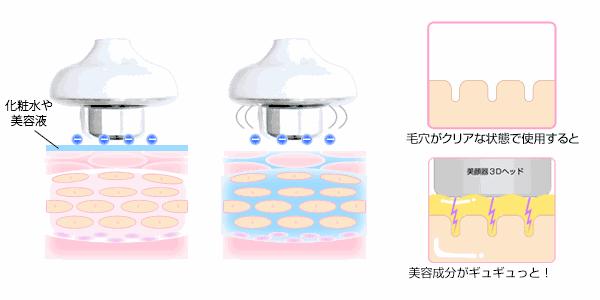 绉戝绉嶈崏,绉戝鎶よ偆鐩茬洰绉嶈崏