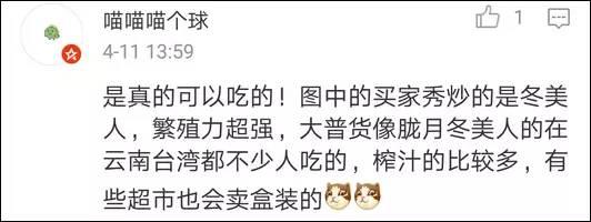 逆天了中国吃货！多肉植物炒肉吃！