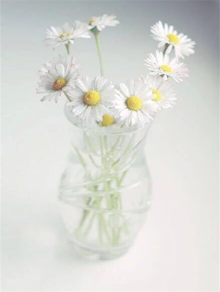 人生就像无数个选择题真的好难,人生就像选择题励志语录