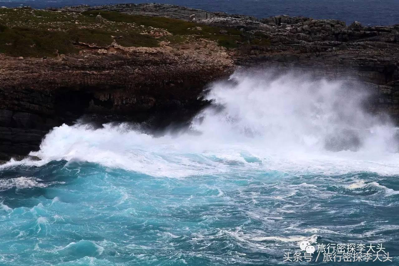中国哪里可以抱考拉,全球哪里可以抱考拉