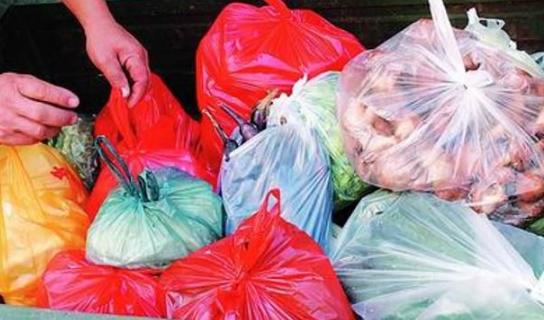 100年才能分解的塑料袋，被毛虫1小时就干掉了