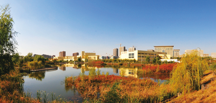 辽宁省各种水果产地特产,辽宁水果产量最大