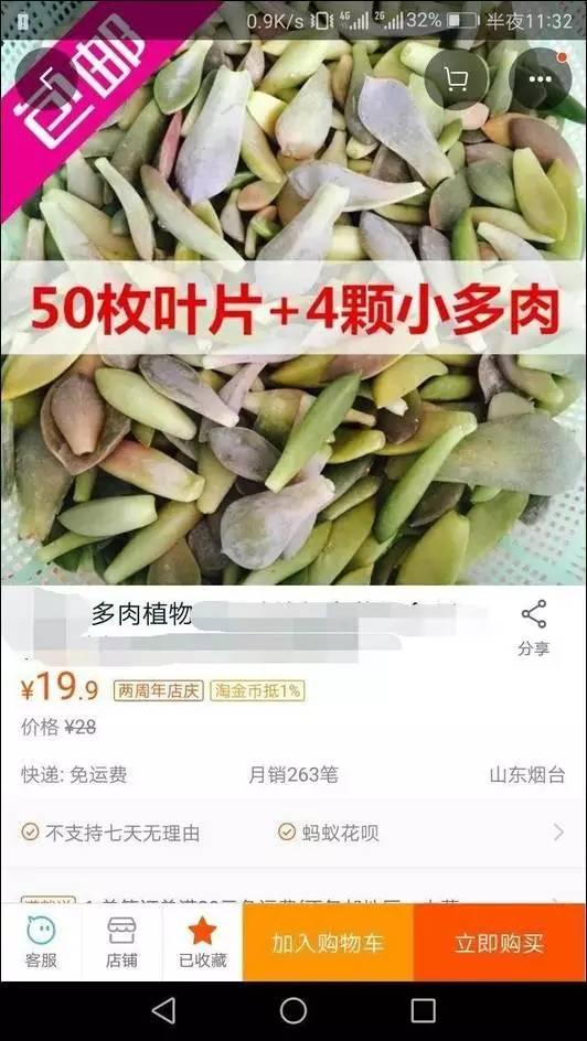 逆天了中国吃货！多肉植物炒肉吃！