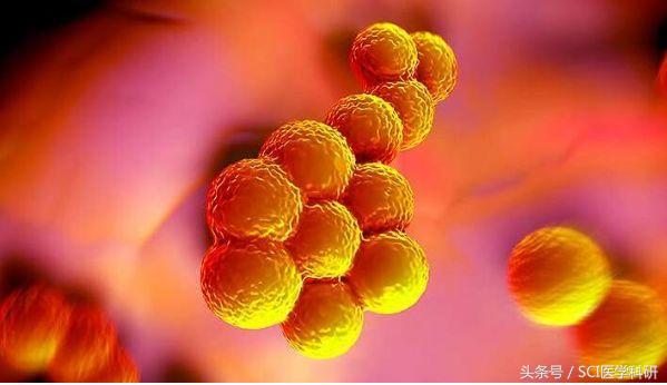 人见人怕的蜱虫含有特殊蛋白，是治疗人类超级细菌药物的唯一原料