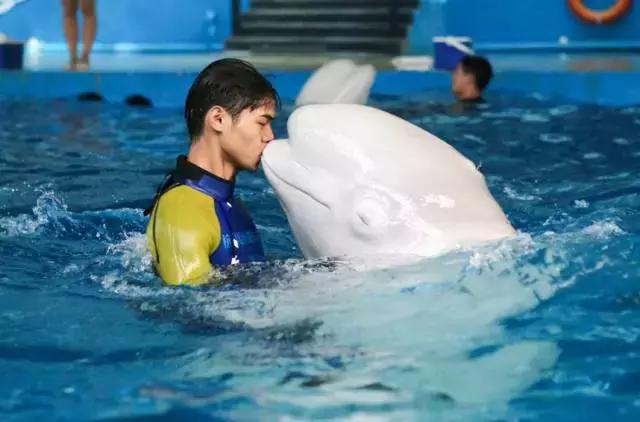 世界最美的四大海,世界最美十大海排名