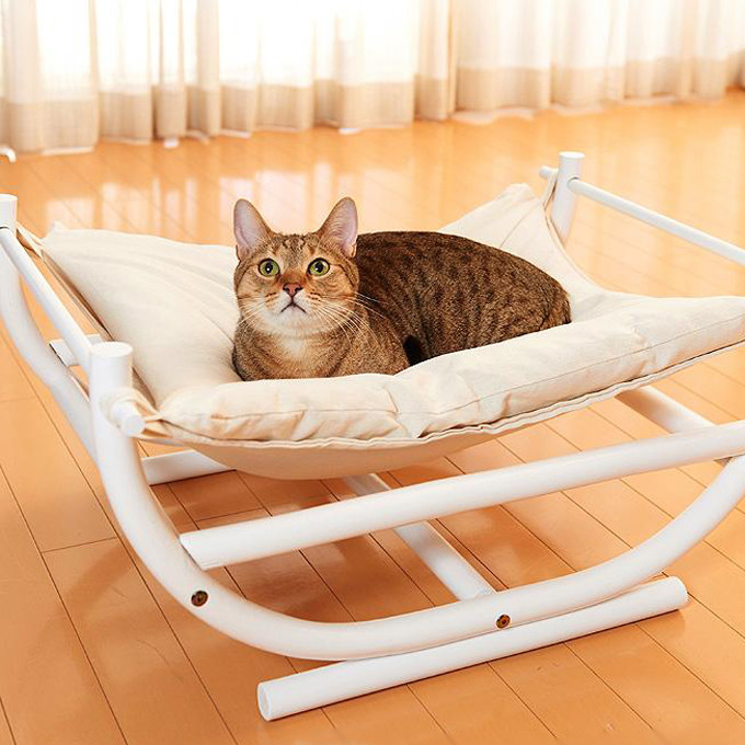 家有喵哥汪弟，体验好物帮你挑