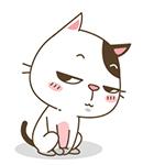 整形小v脸,平价脸部修容粉