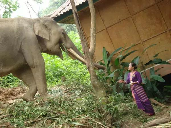 泼水节后，西双版纳该怎么玩，附防高温注意事项