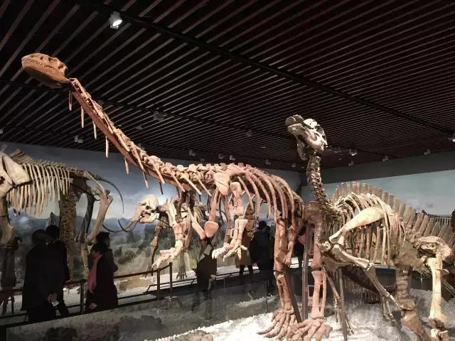 不花一分钱游遍中国,南京六个小众景点