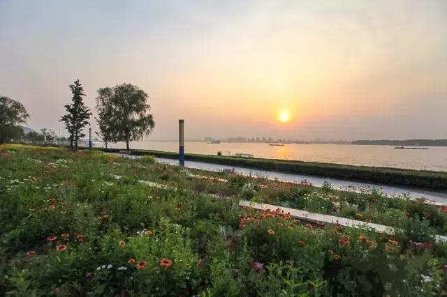 不花一分钱游遍中国,南京六个小众景点