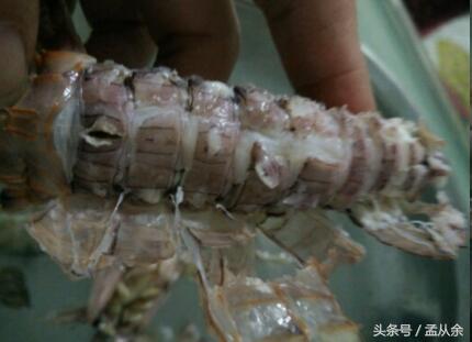 煮几分钟的爬虾最好剥,剥爬虾的正确方法视频