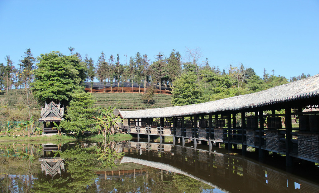 西双版纳绿色美景视频,云南西双版纳美景高清图片