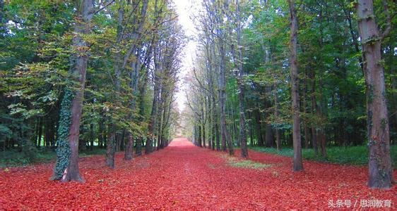 不要被名字骗了——比如雅思