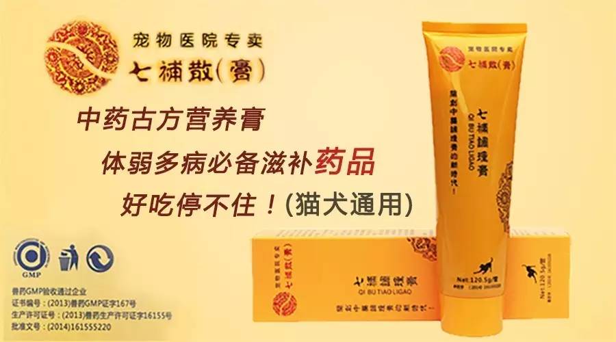 怎么看猫咪有没有猫藓啊,你的猫咪有什么坏习惯