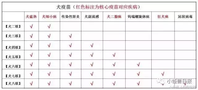 狗狗疫苗打几联比较好,狗狗打疫苗后注意事项