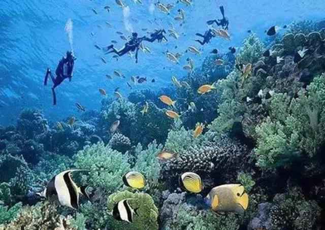 世界最美的四大海,世界最美十大海排名