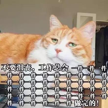 误删万字长文，凌晨哭着重写｜42个新媒体人的最惨故事