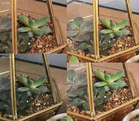 三星tabs8ultra测评,三星s8拍照对焦测试