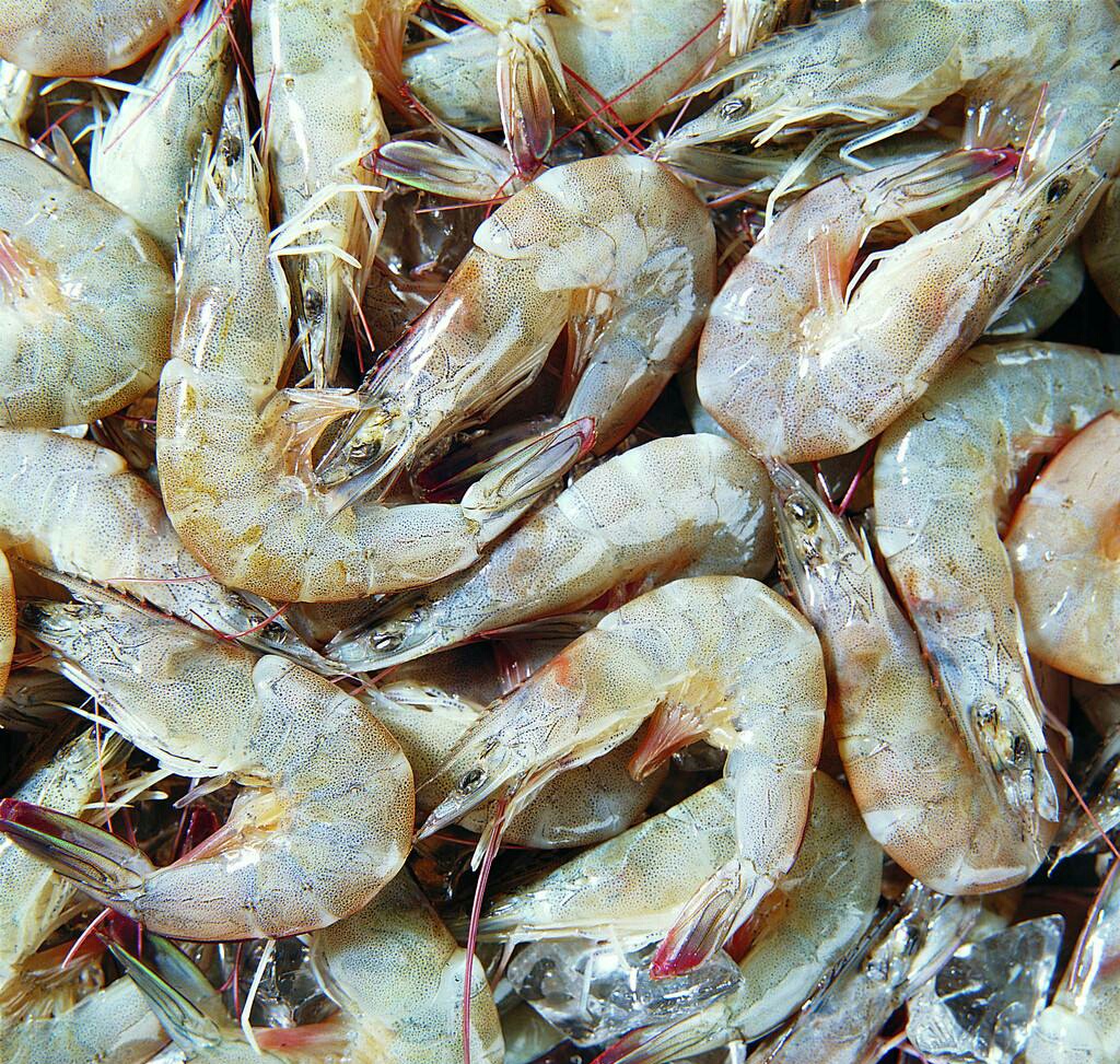 钓鱼时如何选用饵料味型,钓鱼饵料味型重要还是状态重要