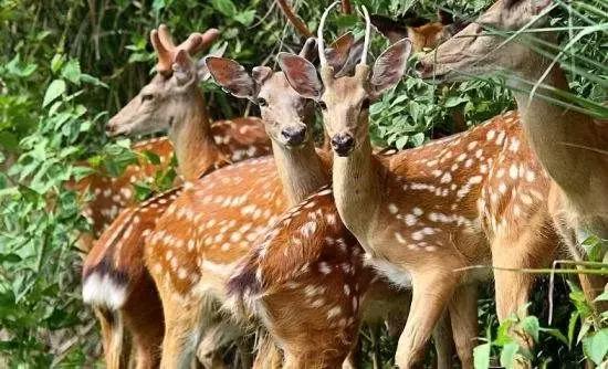 海南环线旅游攻略必去景点推荐,海南旅游攻略必去景点推荐日月湾